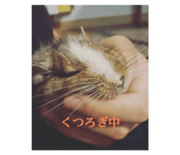 657901545