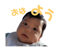 657907126