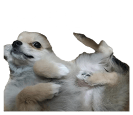 657908013