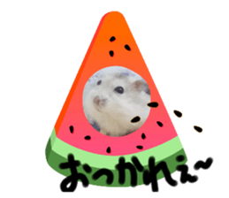 657915304