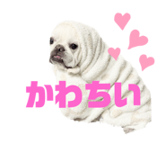 657932624