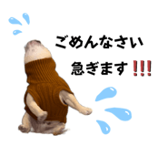 657932625