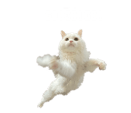 657933146