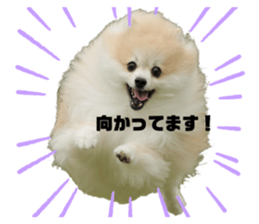 657933305