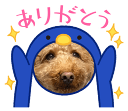 657937065