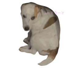 657940614