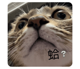 657940615