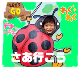 657945560