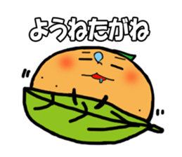 6579545