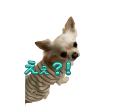 657966821