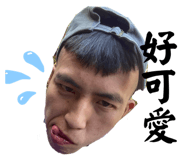 657968231