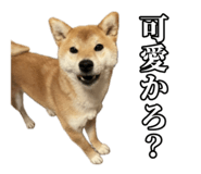 657972760