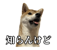 657972761
