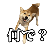 657972762