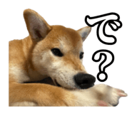 657972765