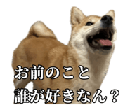 657972767