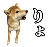 657972770