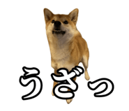 657972771