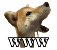 657972777