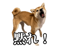 657972778