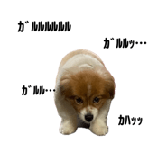 657997584