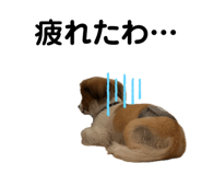 657997590