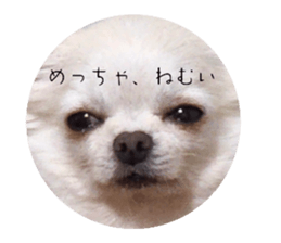657999185