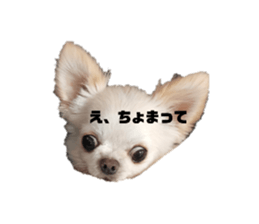 657999187