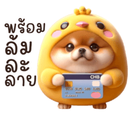 658000376