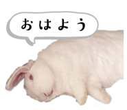 658007774