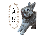 658007775