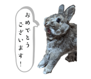 658007782