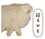 658007785