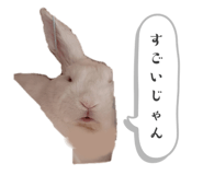 658007786
