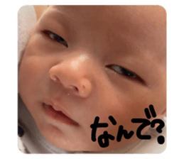 658023665