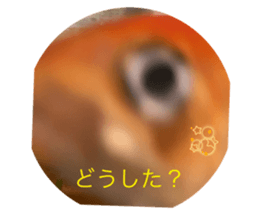 658029943