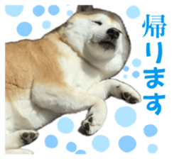 658041435