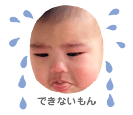 658041566