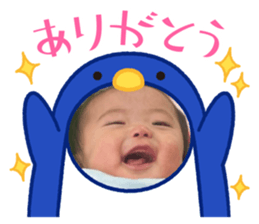 658051746