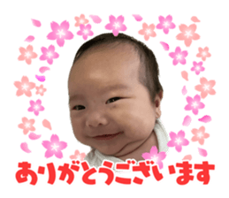 658052993