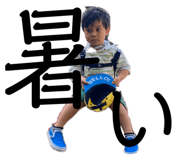 658059884