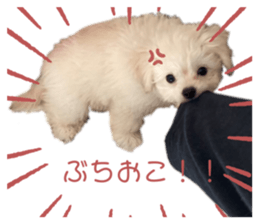 658068946