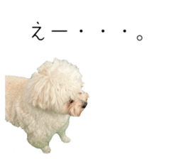 658069213