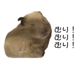 658075724