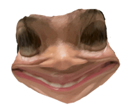658076458