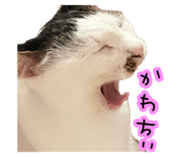 658135534