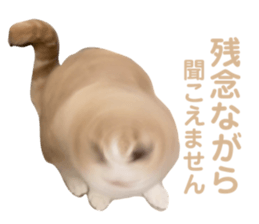 658157627
