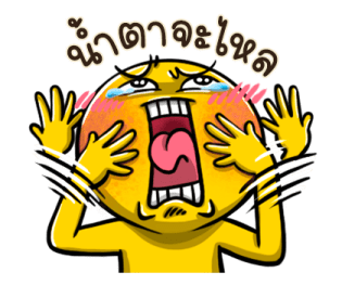 ไข่เหลือง รูปที่ 9