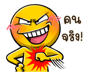ไข่เหลือง รูปที่ 16