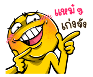 ไข่เหลือง รูปที่ 17